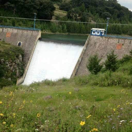 Presa de Tepetitlán