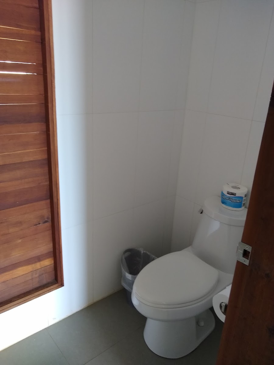 Room 6