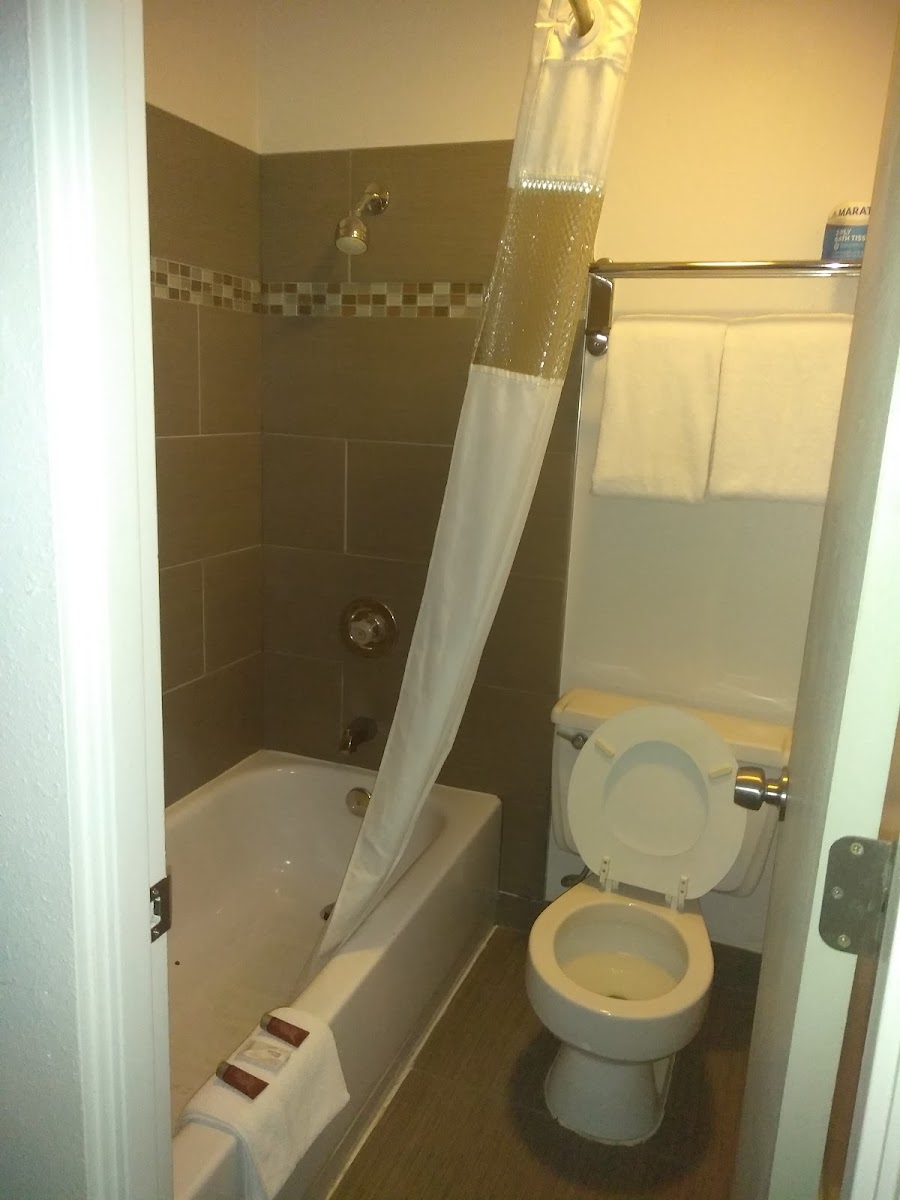 Room 5