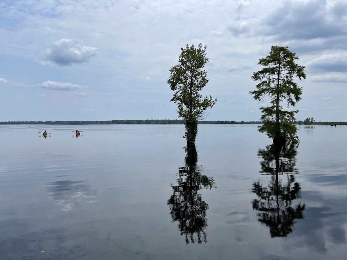 Lake Drummond