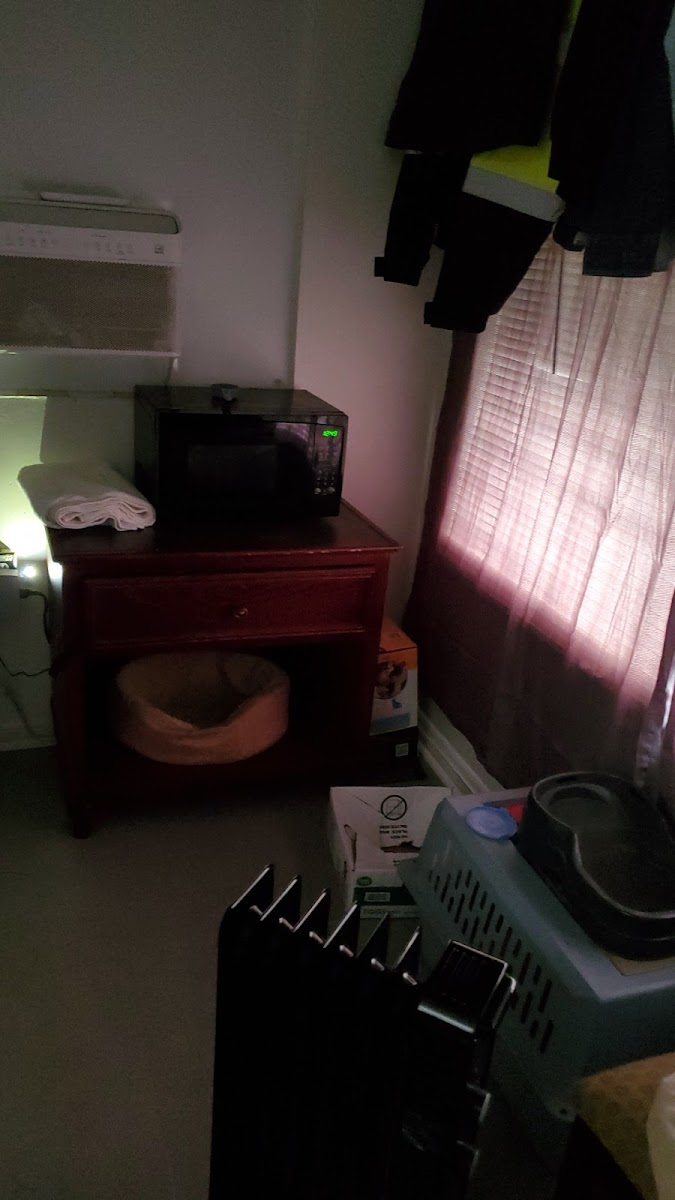 Room 2