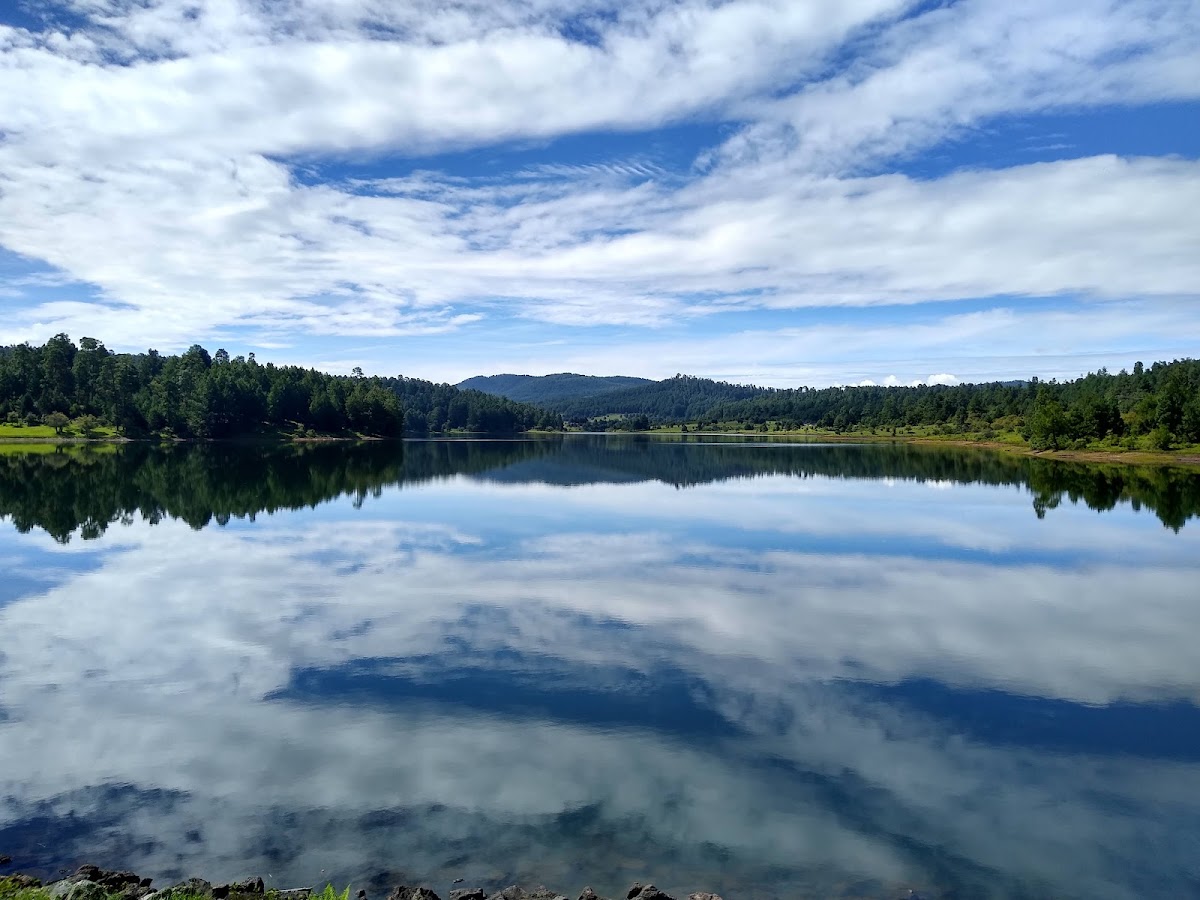 Presa de Sabaneta
