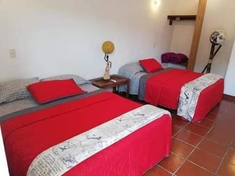 Room 4