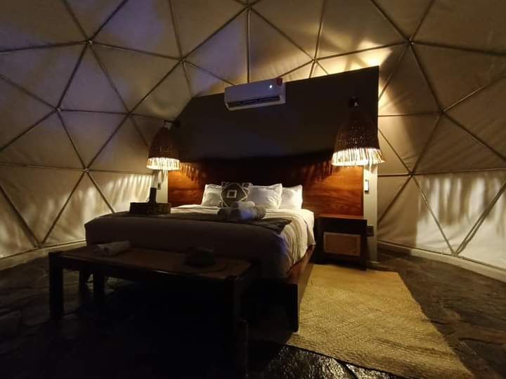Room 8