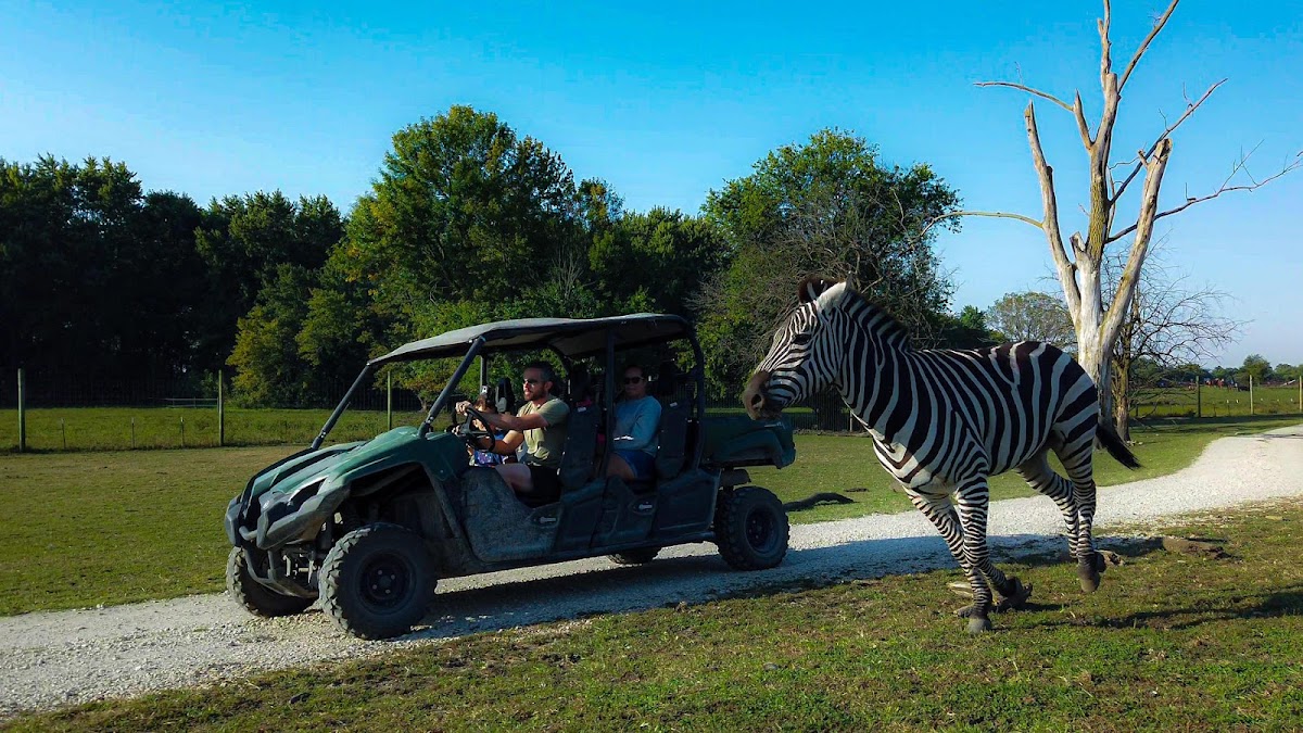 Aikman Wildlife Adventure