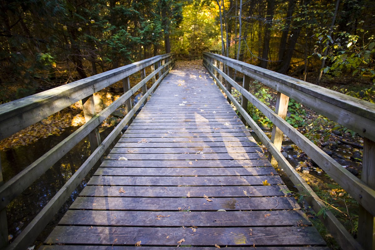 Scanlon Creek Conservation Area