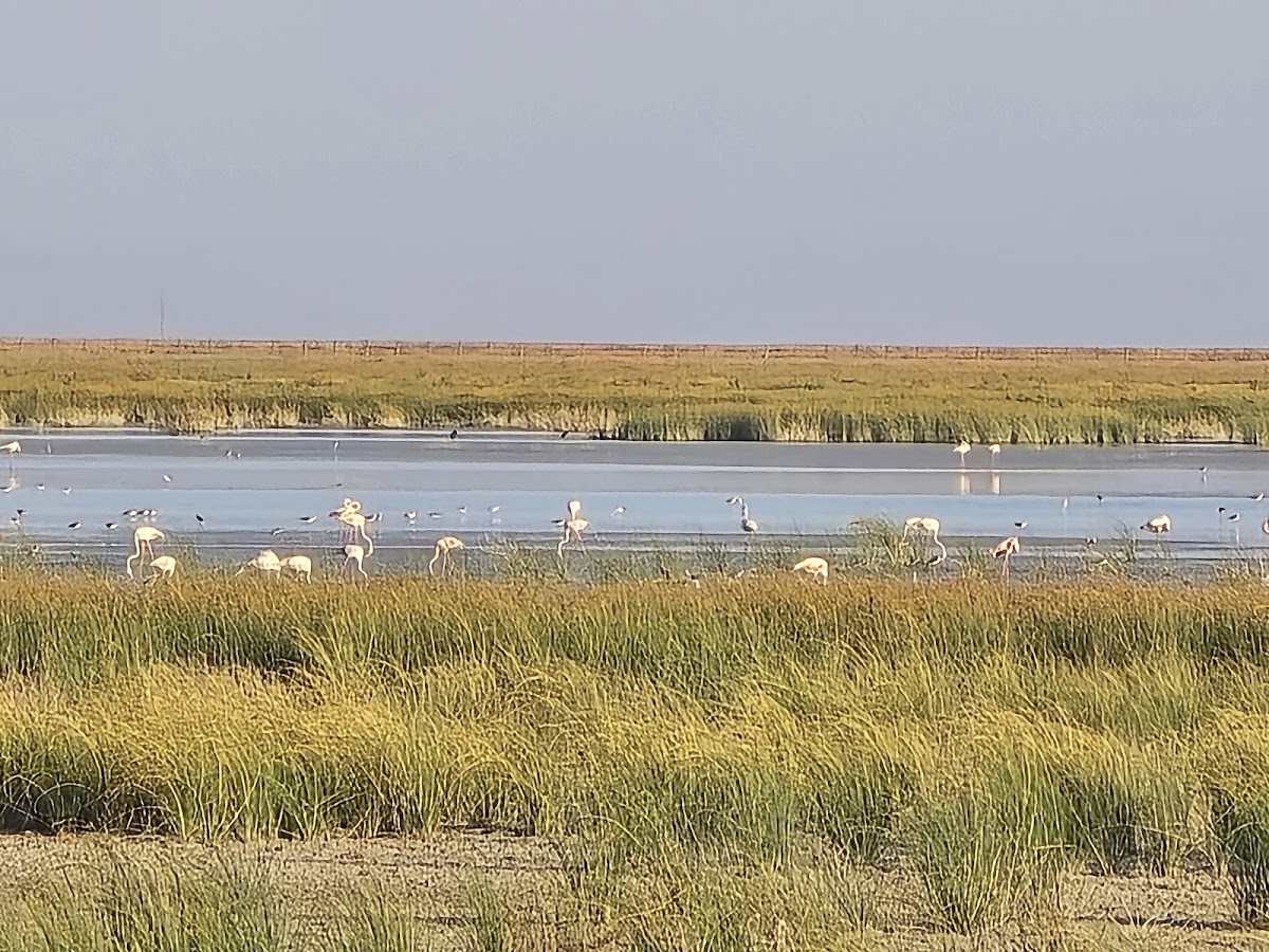 Parque Nacional de Doñana