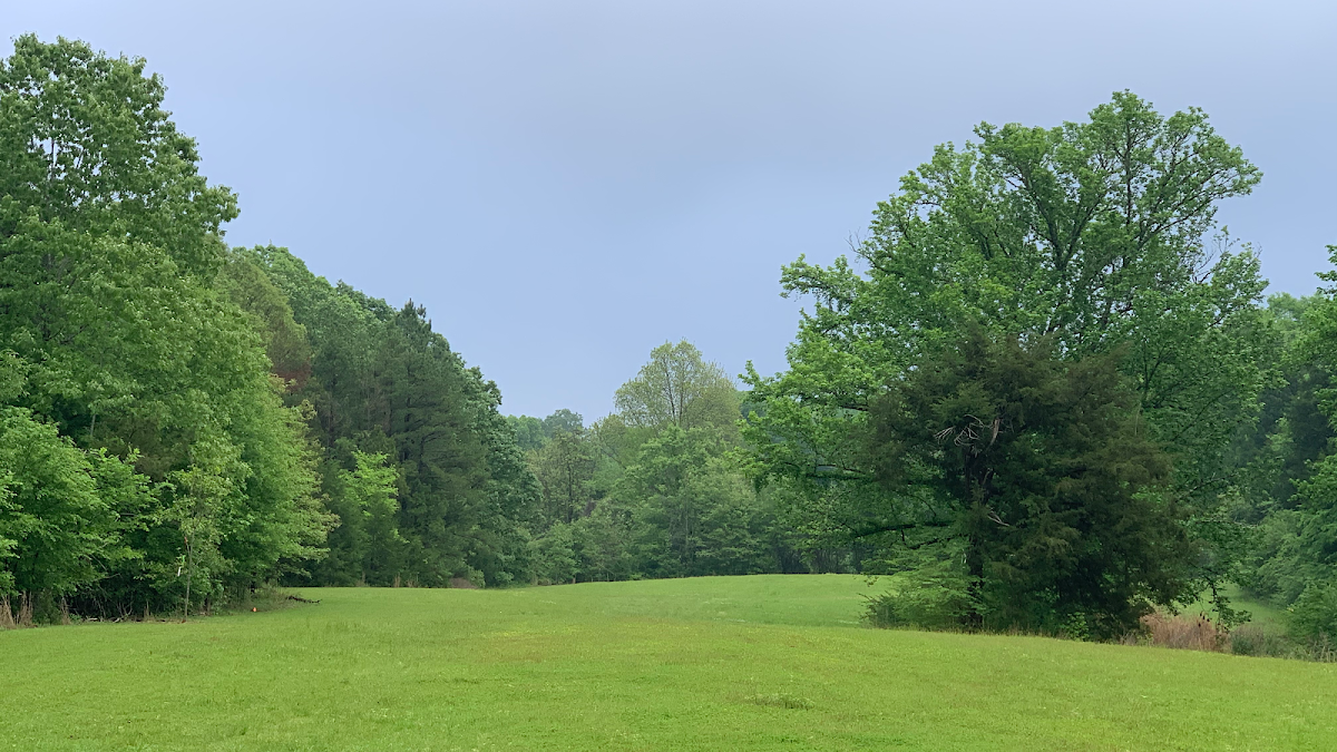Old Mountain Arboretum