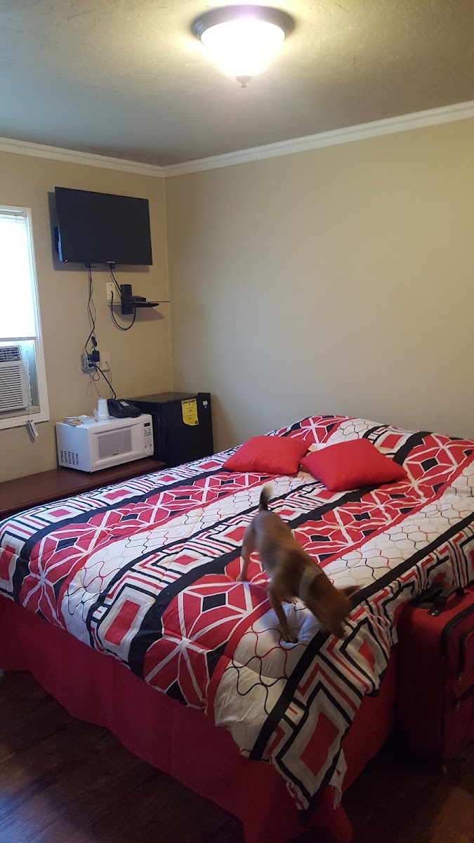 Room 1