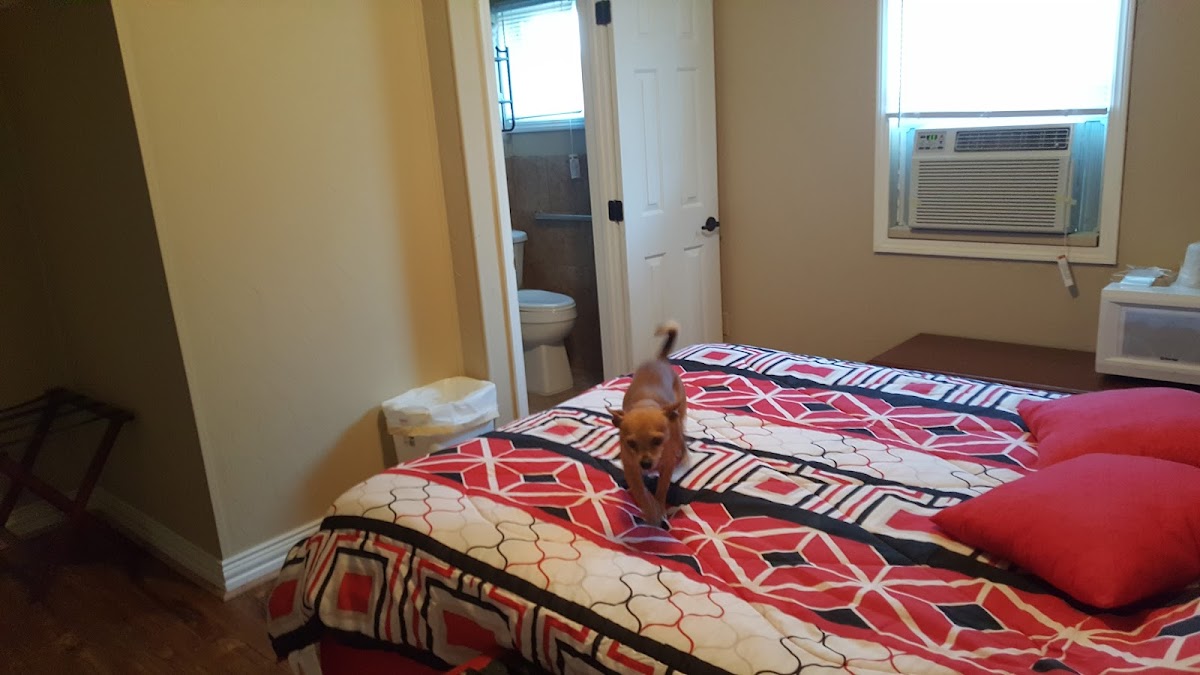 Room 2