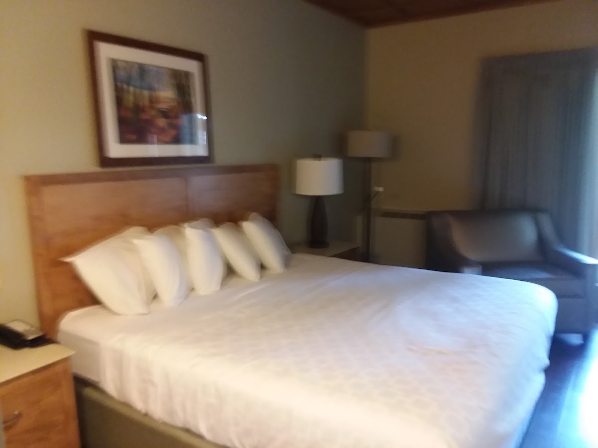 Room 4
