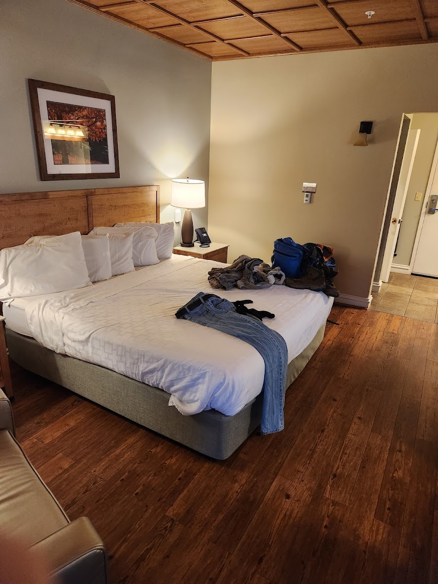 Room 5