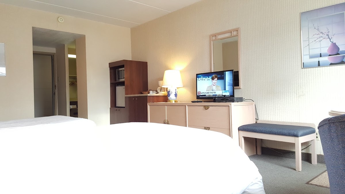 Room 4