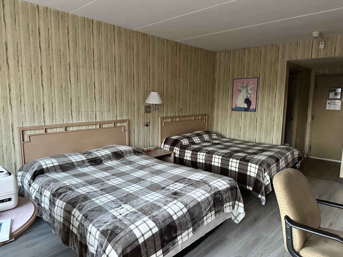 Room 5