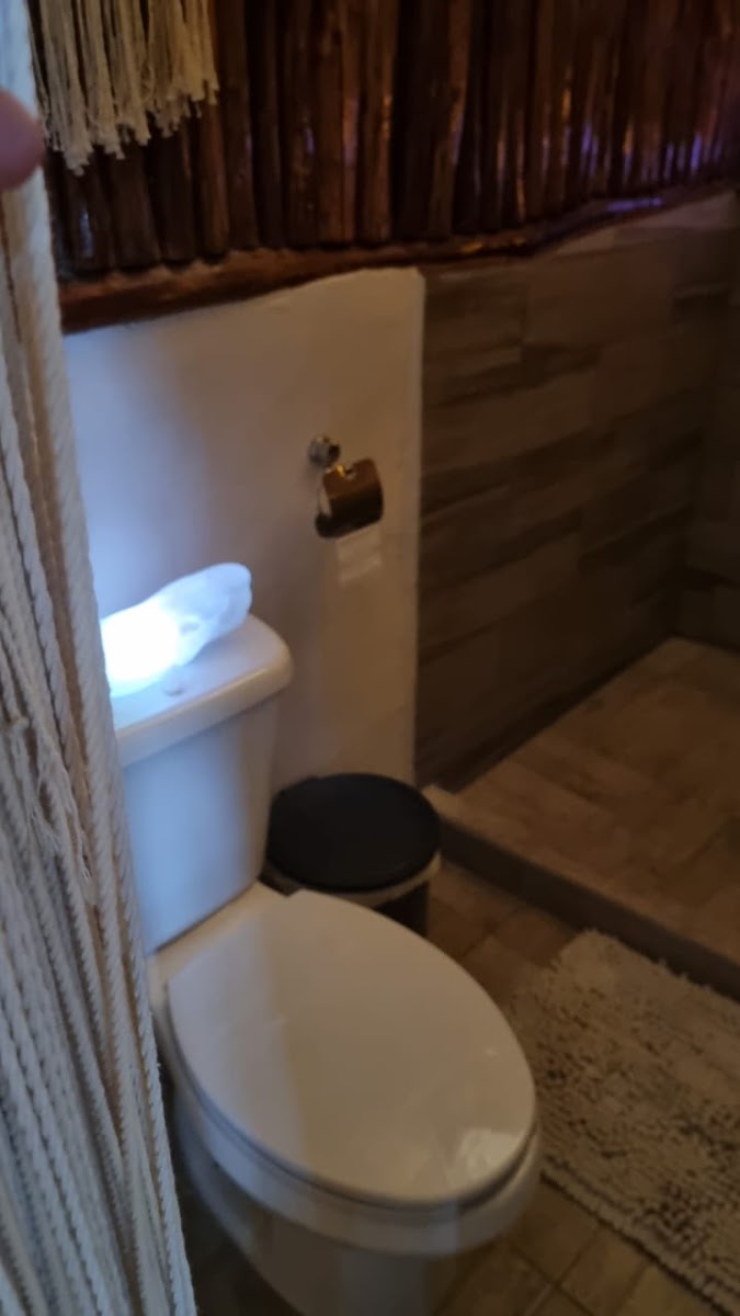 Room 8