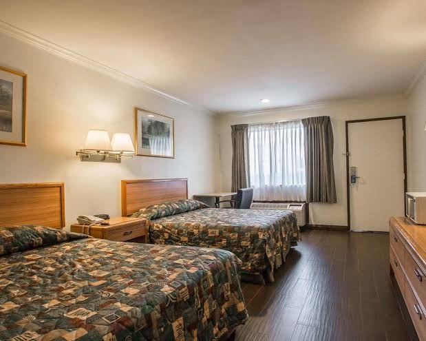 Room 4
