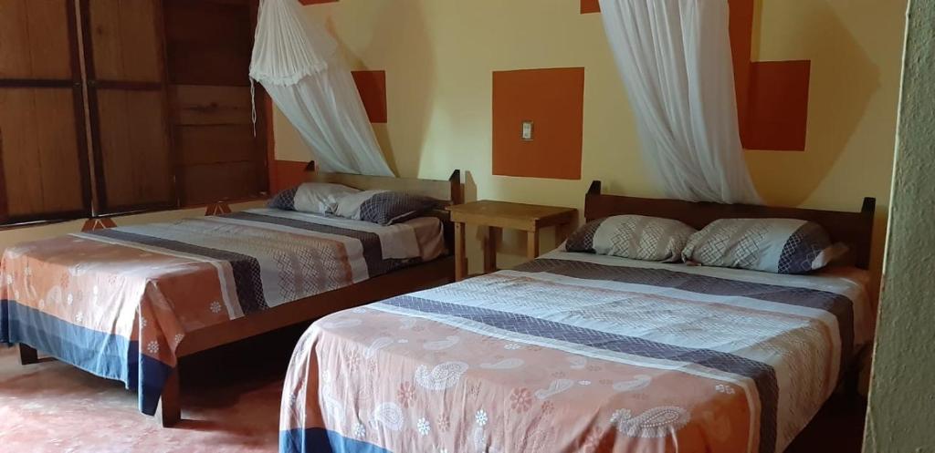 Room 4