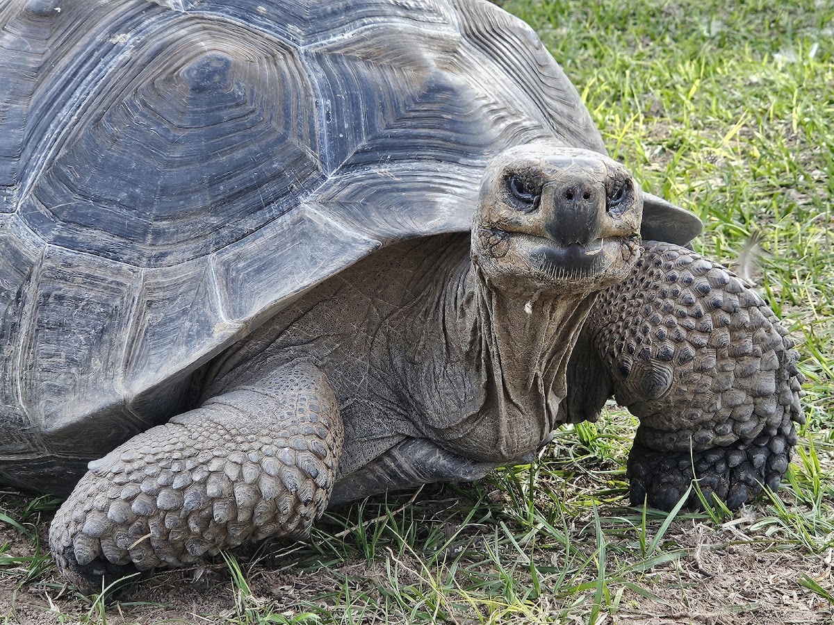 Columbus Zoo Texas