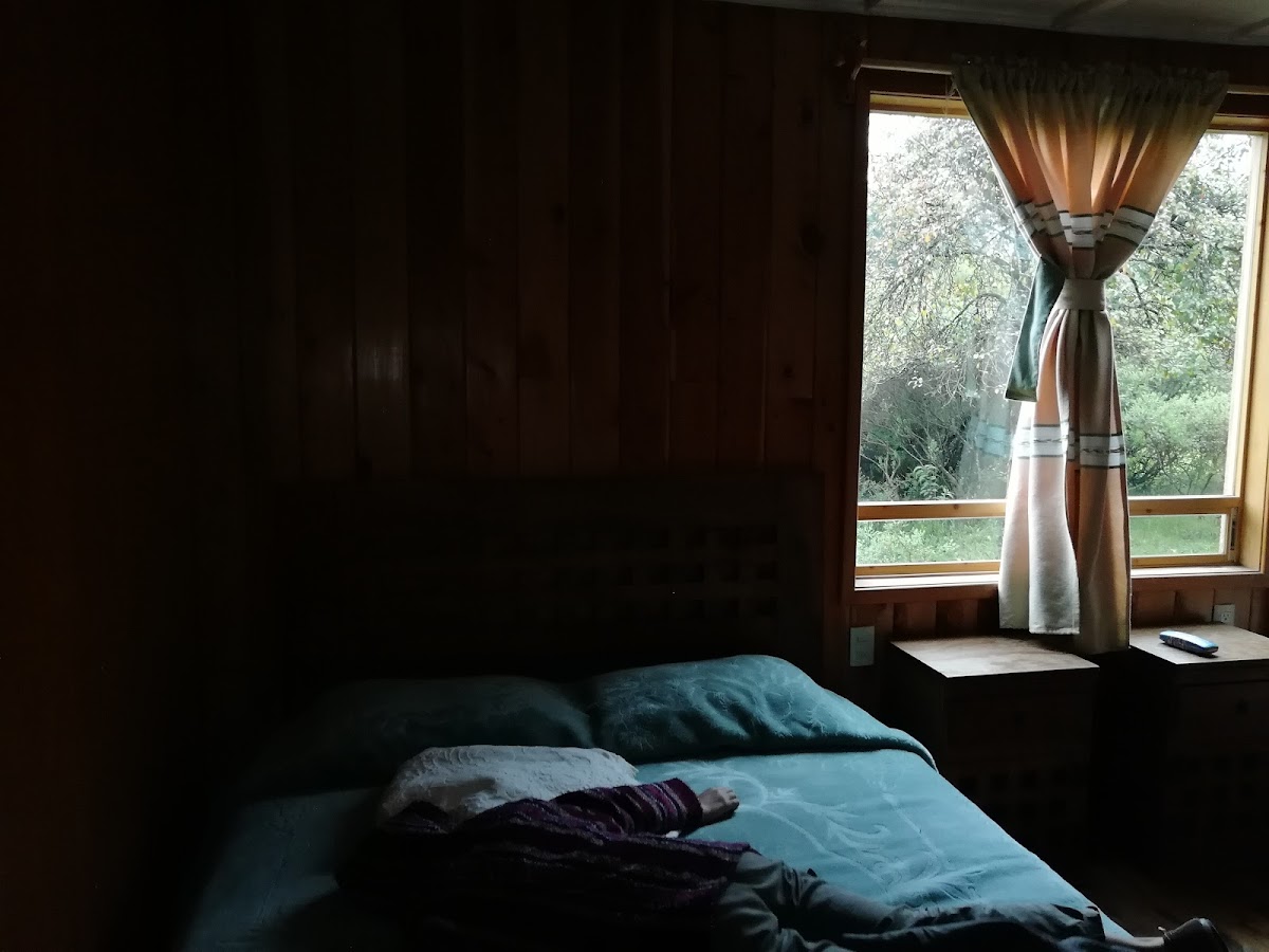 Room 5