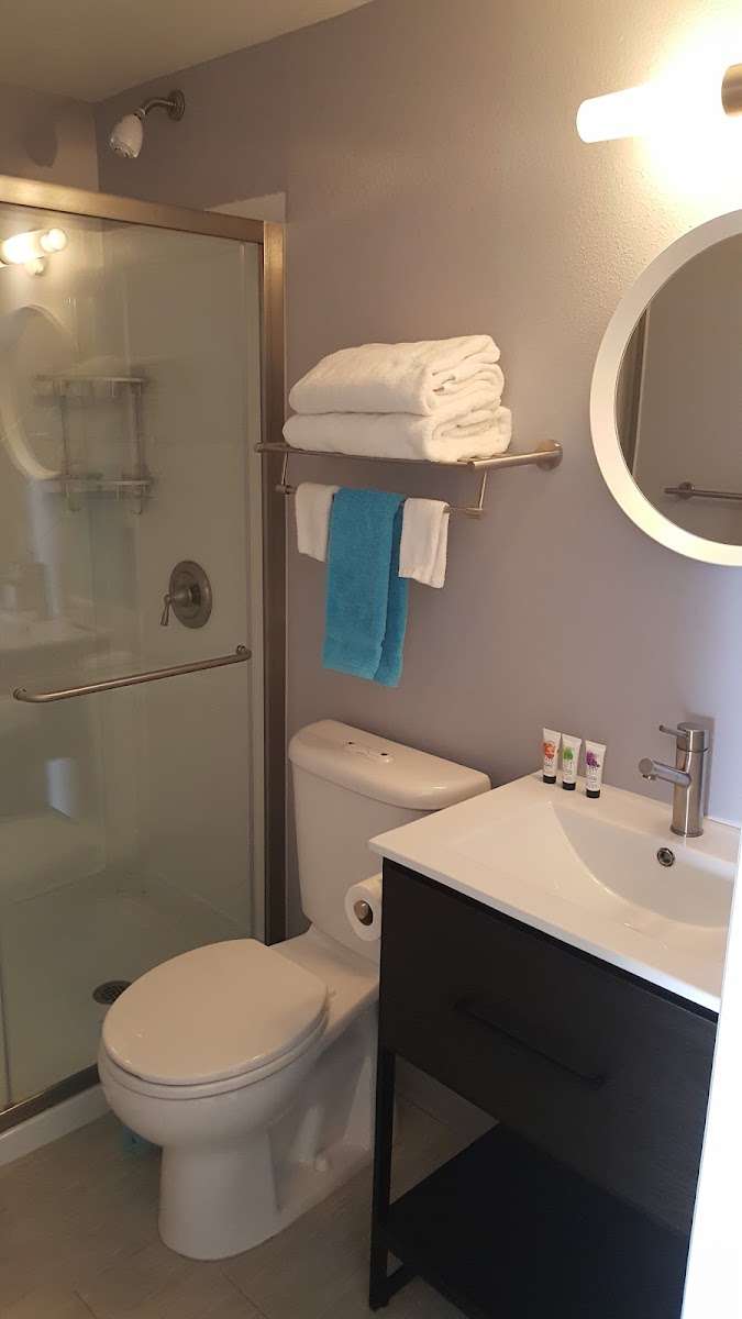 Room 4