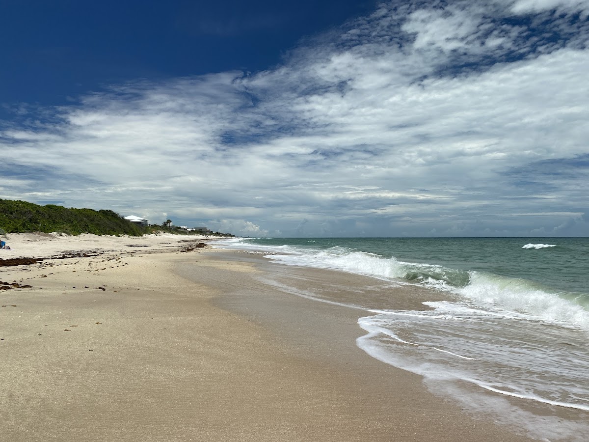 Archie Carr National Wildlife Refuge