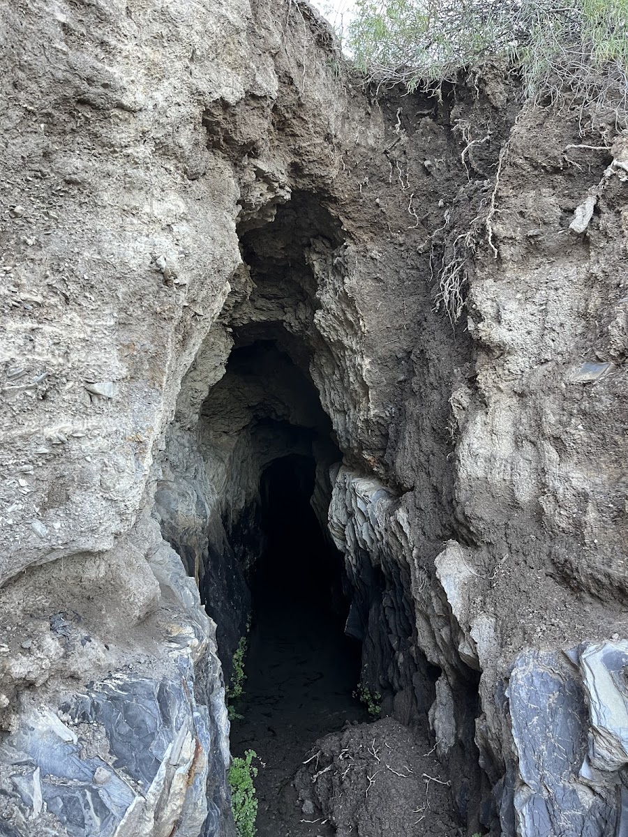 Cueva de los Murciélagos
