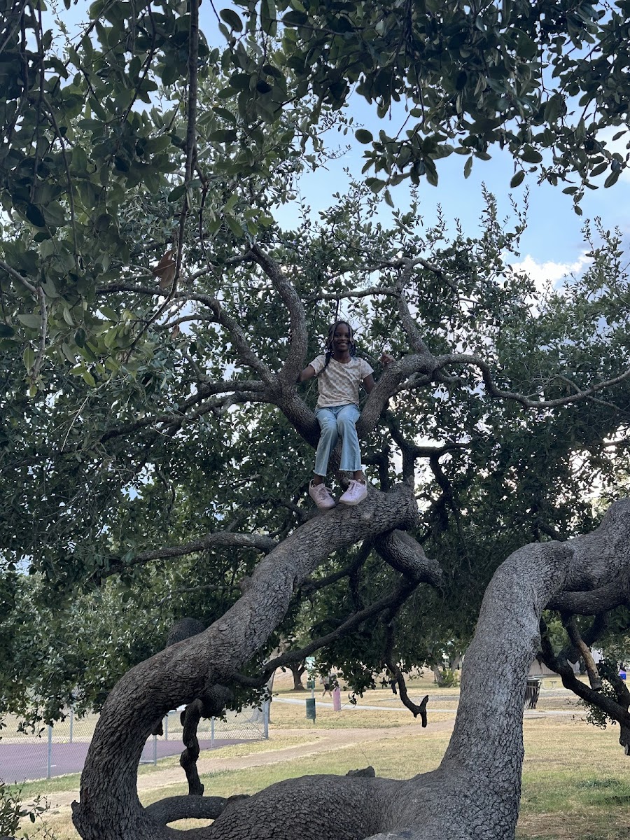 John Lott Municipal Park