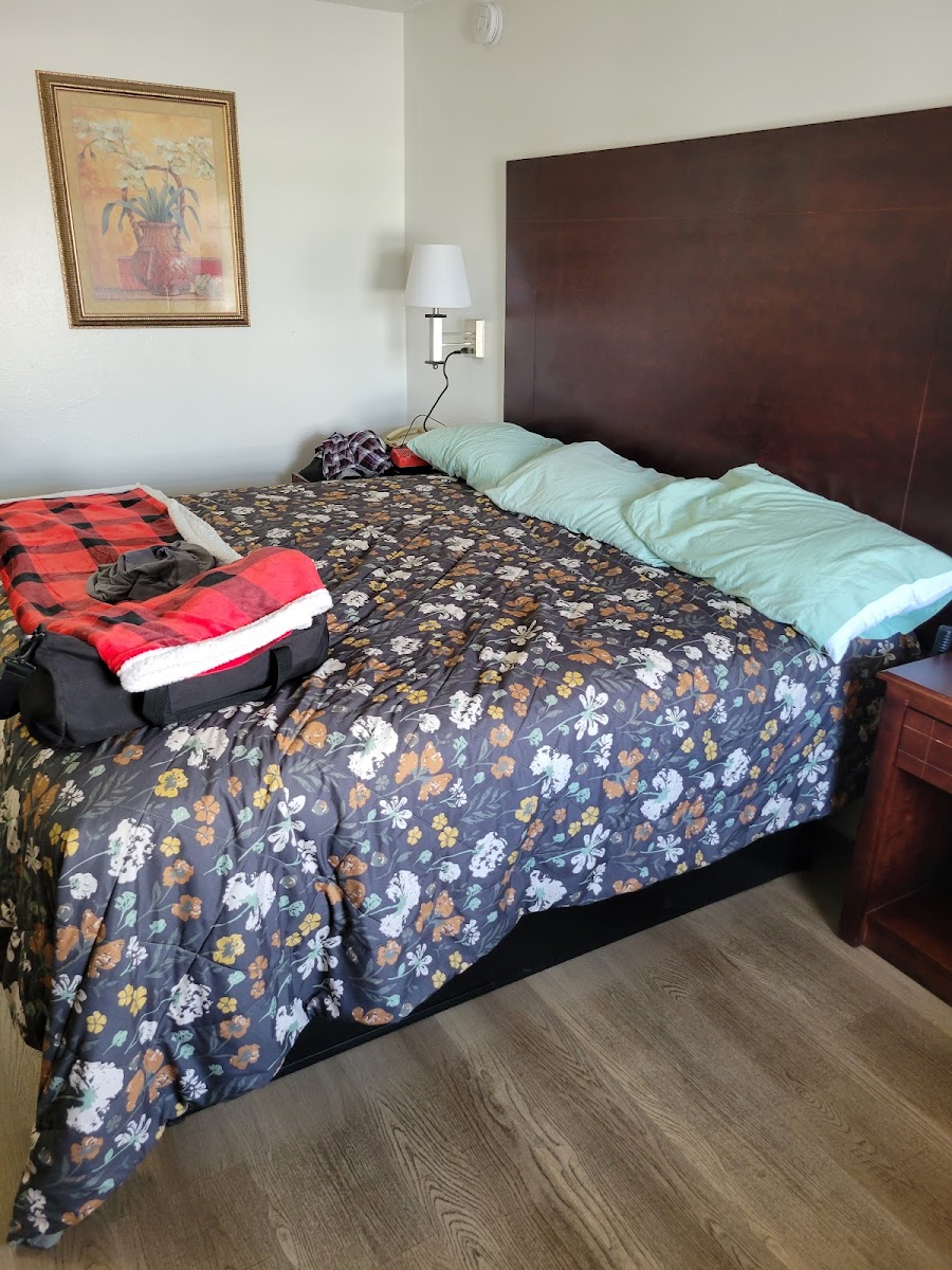 Executive Inn Motel