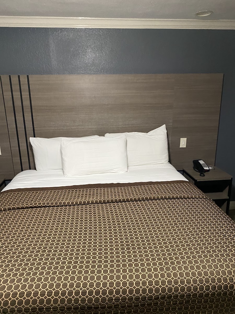 Room 7