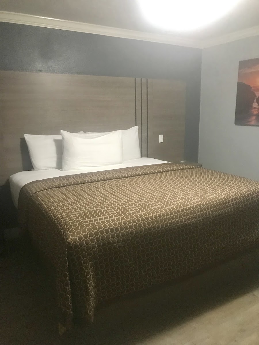 Room 8