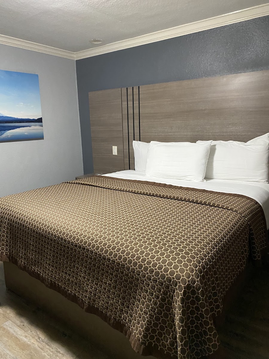 Room 9