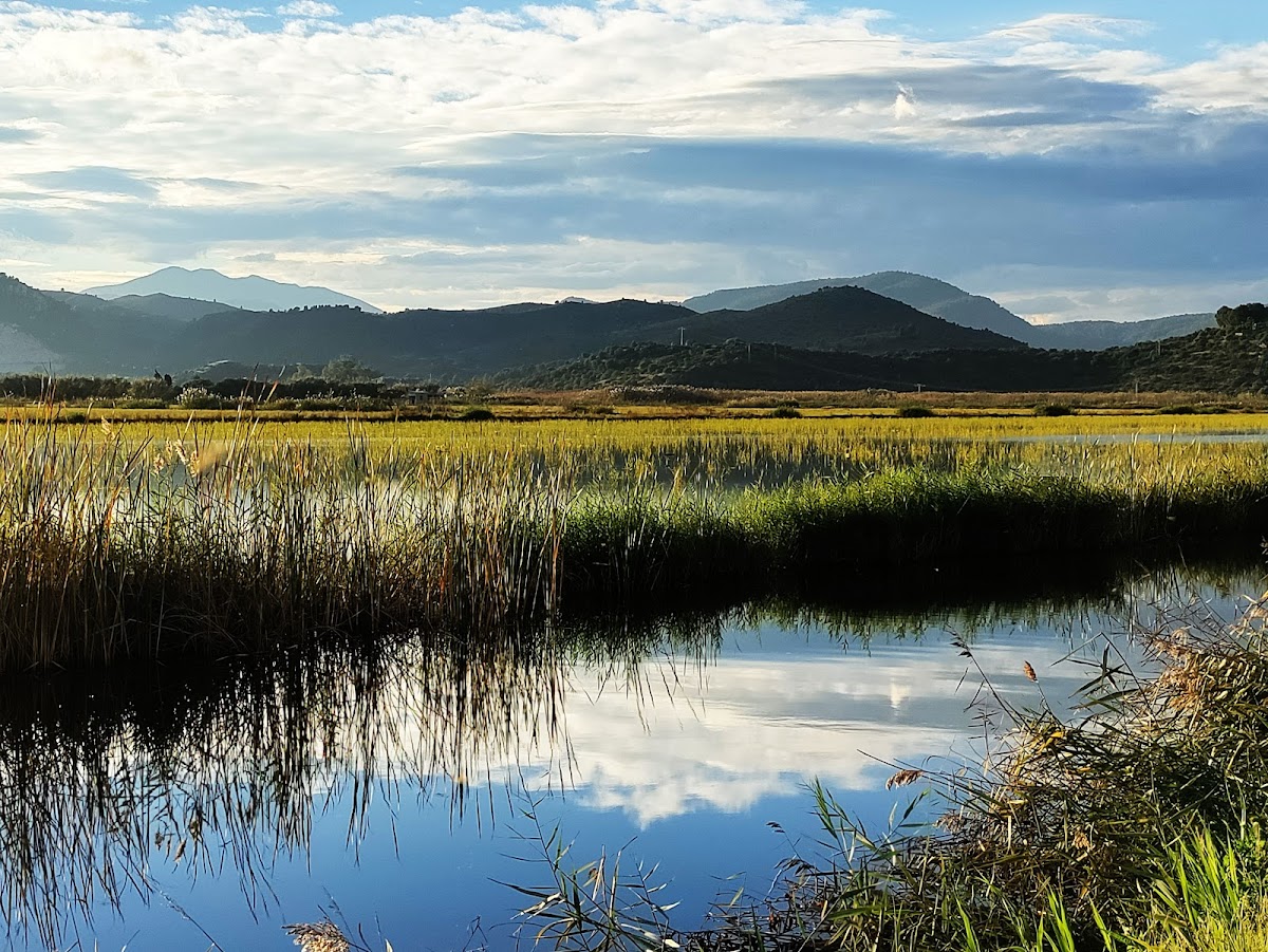 Pego-Oliva Marsh