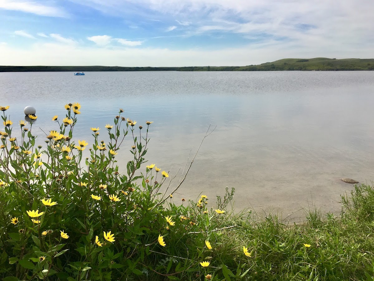 Lovering Lakes