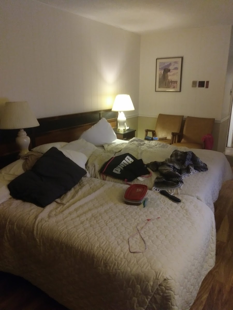 Room 4