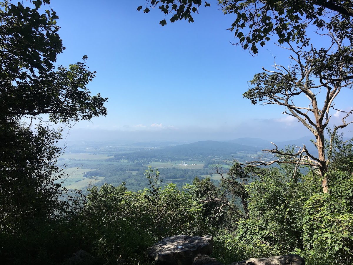 Weiser State Forest