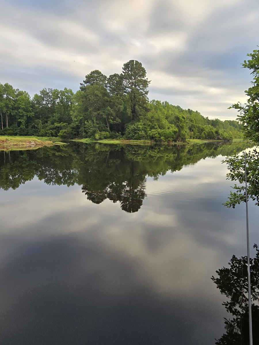 Brown Lake