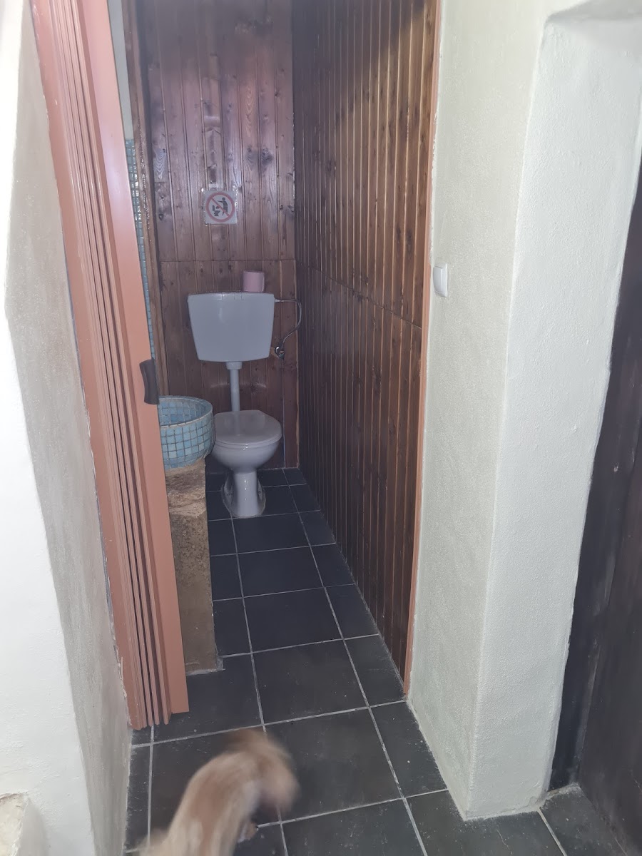 Room 5