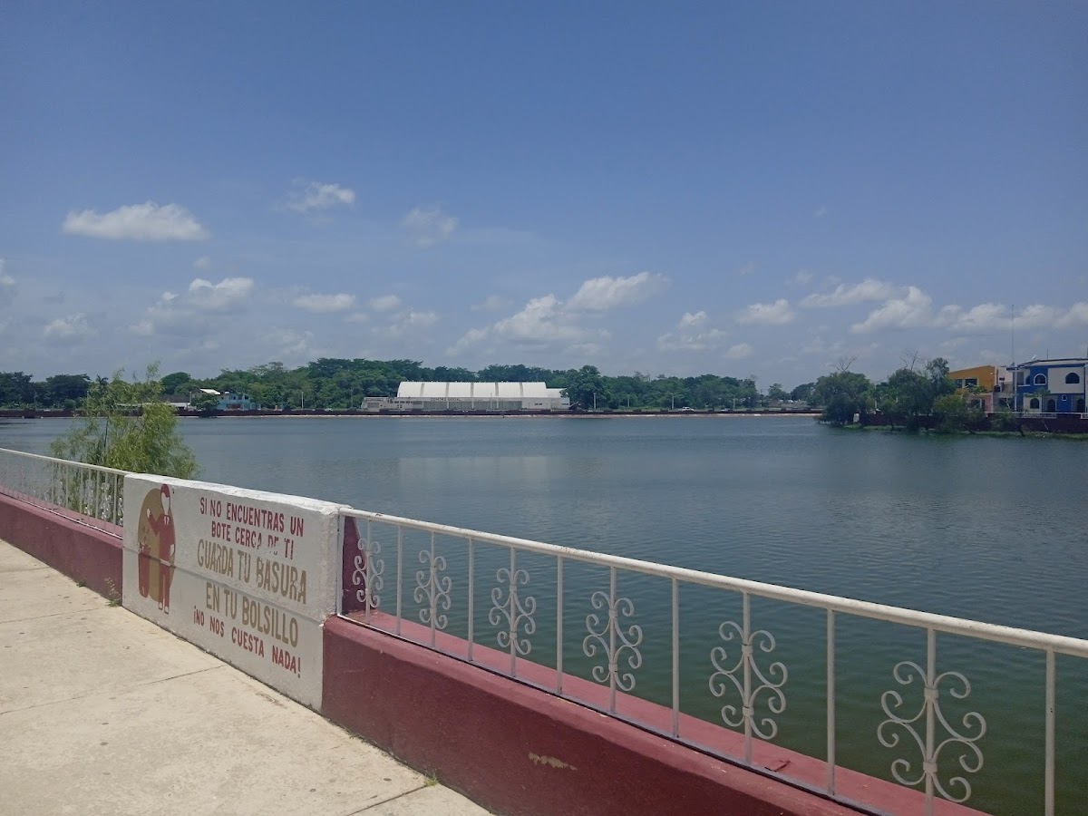 Lago el popalillo