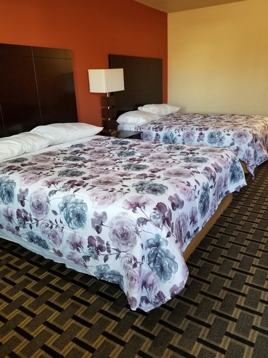 Room 6
