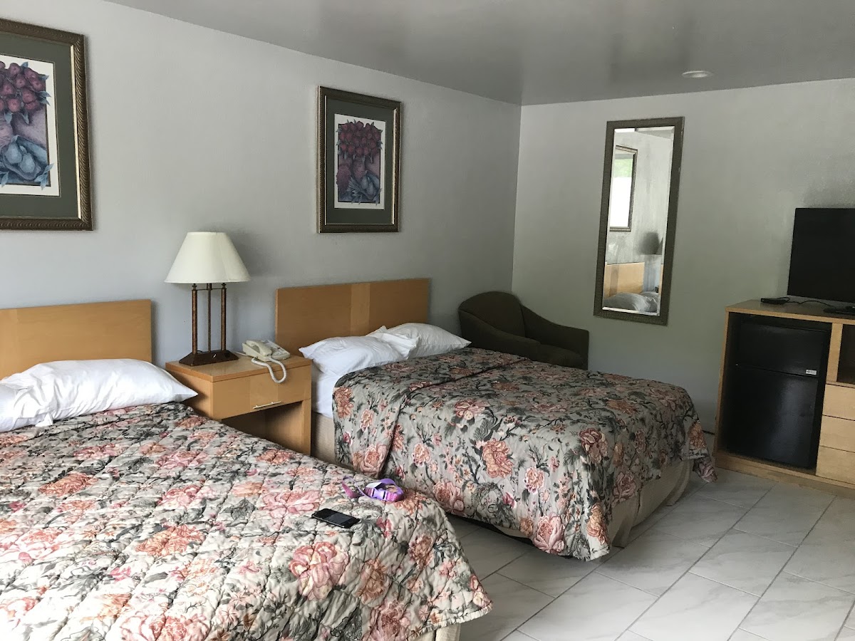 Room 4