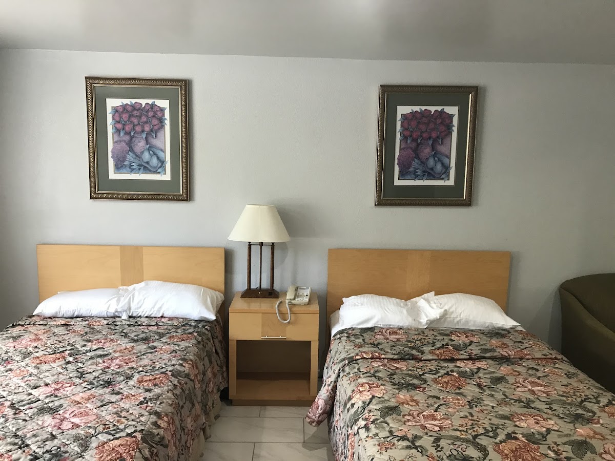 Room 5