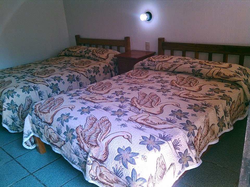 Room 8