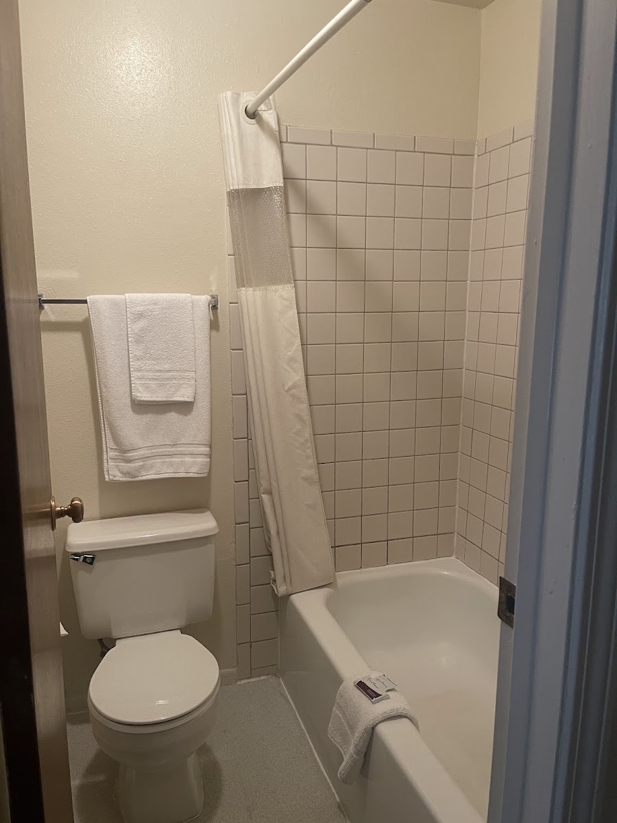 Room 6