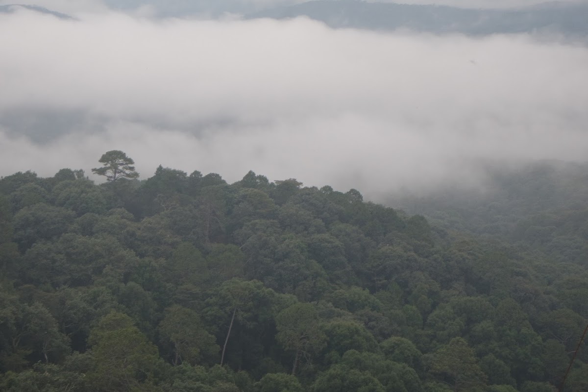 Cerro El Huehuentón