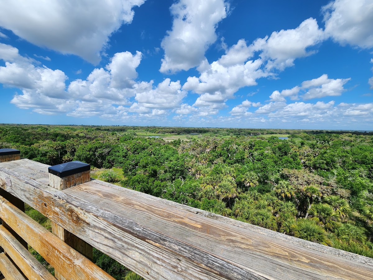 Myakka River State Park