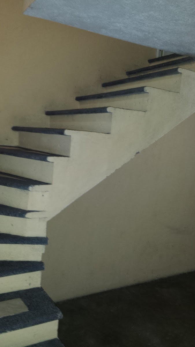 Hotel Villas del Sol photo 3