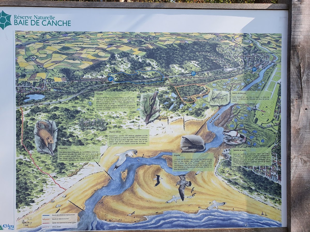 Réserve naturelle nationale de la baie de Canche