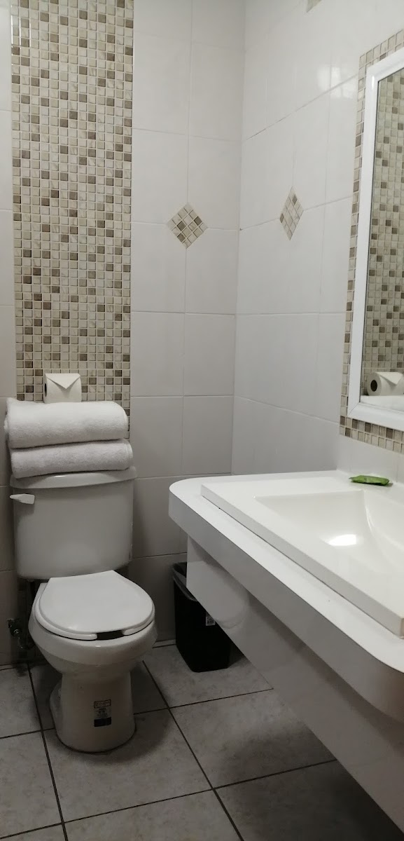 Room 4
