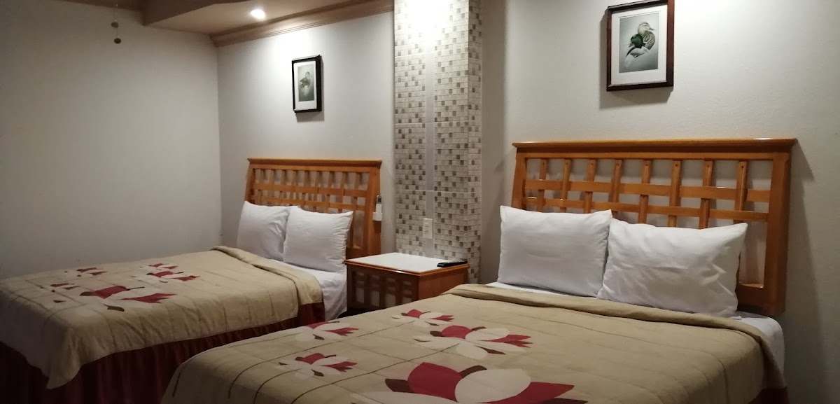 Room 6