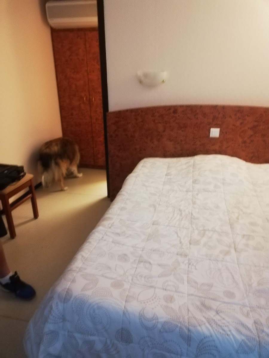 Room 5
